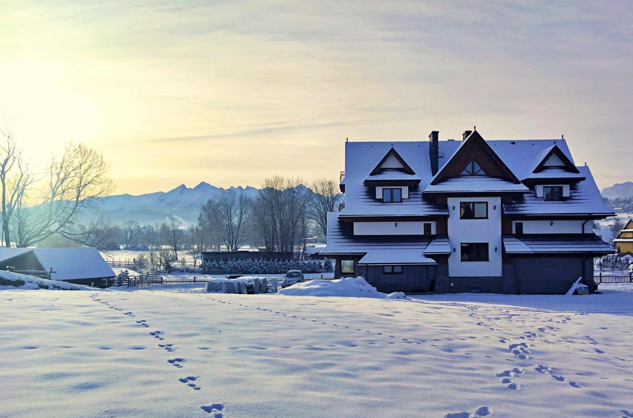 Willa Taterniok - Pokoje Z Widokiem Na Tatry Czarna Góra エクステリア 写真
